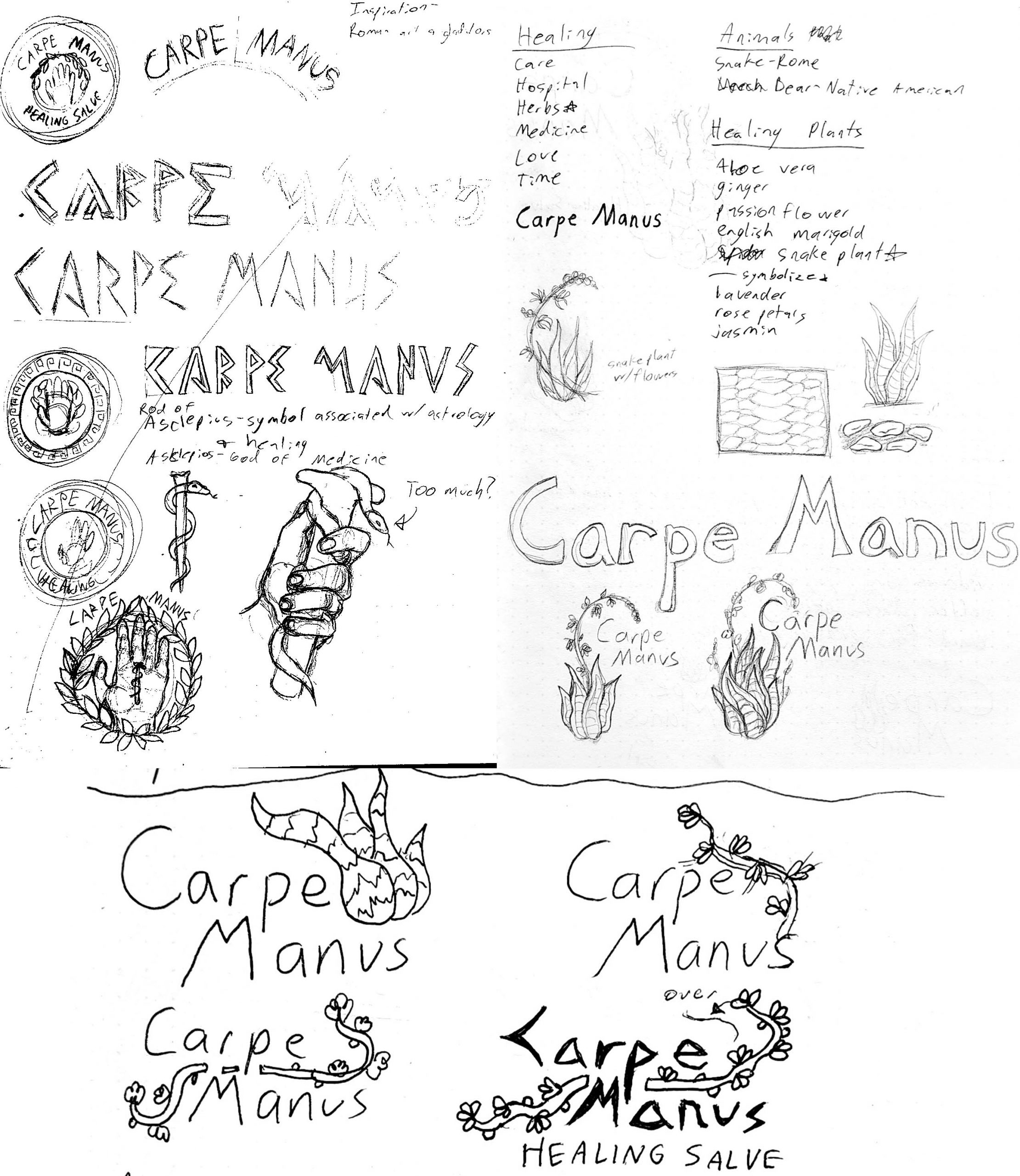 carpe-manus-sketch